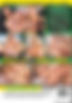 Scoreing A Busty Bimbo back cover