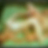 (  / ) [2004, VHSRip] thumb