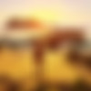 Sensual Adventures - Treasure Island [8.1.0] (Puppetmaster3dx) [uncen] [2025, Action, ADV, RPG, Animation, onstructor, 3D, Anal, Oral, Vaginal, Group, Unreal] [eng] thumbnail