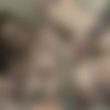 [DevilsFilm.com]Nikki Hearts, Leigh Raven, Casey Kisses(Menage A Tranny) [DevilsFilm.com] [2017 ., Transsexual Gonzo Anal, SiteRip] thumbnail