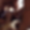 [Explicite-Art.com] Silvia - gone nuts Part 2 [720p/07.05.2015 ., Brunettes, Caucasian, Shaved, Orgy, Small breasts, Blowjob, Teen] thumb