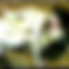 (  / ) [2004, VHSRip] thumb