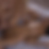 [X-Art.com] Veronica Rodriguez, Alex Grey (A Fucking Hot Threesome / 07.08.15) [2015 ., All Sex, Threesome, BlowJob, Hardcore, Blonde, 1080p] thumb