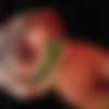 / Nika Nut / nigonika [2022, All Sex, 1080p] thumb