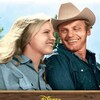 Hacksaw 1971 480p DSNP WEB-DL AAC2 0 H 264-GPRS thumb
