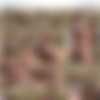 (1016) [ChaosMen.com] Jet & Darius: Edge - 29.02.12 [2012 ., Studs, Muscules, Duet, Oral, Masturbation, Cumshots, 720p] thumb