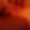[2007 ., , CamRip] thumb