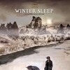 Winter Sleep 2014 1080p BluRay x264-OFT thumb