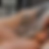 Mon Mari Est Bi 2 / My Husband is Bi 2 /  M  ( Dorcelvision ) [ 2025 . Bisexual, French, MMF, Oral/Anal Sex, Vaginal Sex, Missionary, Doggystyle, Big.tits, Group, Threesome, Hardcore, Cumshots,..1080p] thumbnail