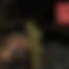 Dungeon of Meat [1.05] (pompompain) [uncen] [2023, Action, ADV, Animation, 3D, Dungeon, Anal, Oral, Vaginal, Rape, BDSM, Slave, Guro, Unity] [rus] thumb
