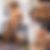 [SeanCody.com] SC-2630 Randy & Shane: Bareback [2019 ., Anal Sex, Bareback, Big Dick, Blowjob, Cumshots, Interracial, Kissing, Masturbation, Muscles, Uncut., 720p] thumb