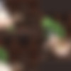 ProjectR [InProgress, 0.5.0.3] (Team-Apple Pie) [ptcen] [2025, Strategy, Management, Animation, Fantasy, Rape, Slave, Pregnant, Unity] [jap+eng] thumbnail