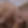 [X-Art.com] Alex Grey ( A Deep Awakening (Alex Grey's First Sex Scene EVER) / 23.06.15) [2015 ., all sex, 1080p] thumb