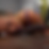 Interracial Creampies 3 (Blacks On Blondes) [2025 ., All Sex, Upscale, 720p] (Chanel Camryn, Febby Twigs, Jessie Saint, Liz Jordan) thumbnail