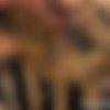 [LatinaAbuse.com] Barato [2015-04-10, Hardcore, Blowjob, Deepthroat, Gagging, Threesome, MMF, 1080p] thumb