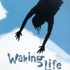 Waking Life 2001 1080p DSNP WEB-DL DDP5 1 H 264-GPRS thumb