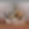 [BaDoinkVR.com] Katerina Deville - Roommate Mating [23.05.2025, Blowjob, Close Mish, Cowgirl, Cum On Body, Doggy Style, Hairy, Missionary, Natural, Redhead, Reverse Cowgirl, Small Tits, Stockings, Tattoos, Teen, Virtual Reality, SideBySide, 8K, 4096p] [Oculus Rift / Quest 2 / Vive] thumbnail