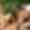 [GuysGoCrazy.com] Group barbeque (GGC BBQ) Parts 3-6 /   3-6 [2009 ., Orgy, Bareback, Oral/Anal Sex, Big Dicks, Blowjob, DeepThroat, Moaning, Rimming, Kissing, Cumshots, Smooth, Twinks, Cut/Uncut, 1080p] thumb
