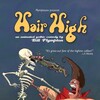Hair High 2004 1080p WEB-DL AAC 2 0 H264-SHR thumb