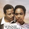 Winnie Mandela [2011] / H264 / MKV / Blu-ray / 1080p / DTS / Subs / Scene / SNOW thumb