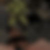 Dungeon of Meat [1.05] (pompompain) [uncen] [2023, Action, ADV, Animation, 3D, Dungeon, Anal, Oral, Vaginal, Rape, BDSM, Slave, Guro, Unity] [rus] thumb