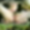 +  [1997 ., , VHSRip] thumb