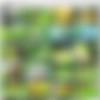 . [1997 ., , VHSRip] thumb