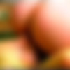(  / ) [2004, VHSRip] thumb