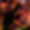[PartyHardcore.com / Tainster.com] Party Hardcore Gone Crazy Vol. 20 Part 5 [720p/22.06.2015 ., Amateur, CFNM, Interracial, Lesbian Sex, Party Sex, Public Sex, Teen (18+), Hardcore] thumb